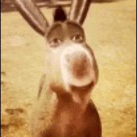 Meet your Posher, Maura - Picture 1 of 1